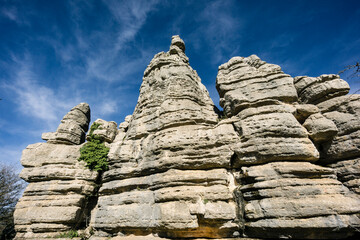 Paraje Natural Torcal de Antequera, términos municipales de Antequera y Villanueva de la...
