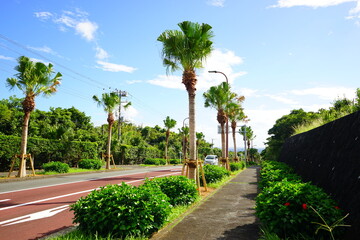 Hachijo Round Road in Hachijo-jima, Tokyo, Japan - 日本 東京 八丈一周道路