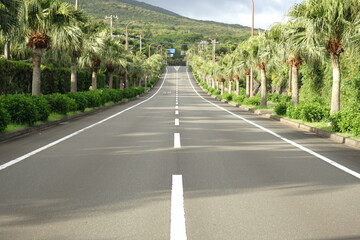 Hachijo Round Road in Hachijo-jima, Tokyo, Japan - 日本 東京 八丈一周道路