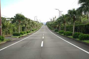 Fototapeta premium Hachijo Round Road in Hachijo-jima, Tokyo, Japan - 日本 東京 八丈一周道路