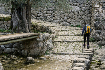 barranco de Biniaraix, Biniaraix, Sierra de Tramuntana, Mallorca,Balearic Islands, Spain, Europe
