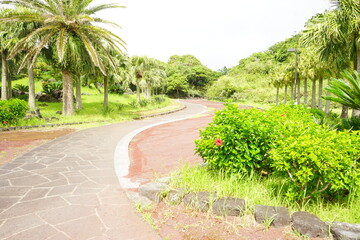 Hachijo Botanical Garden or Hachijo Visitor Center
 in Hachijo-jima, Tokyo, Japan - 日本 東京 八丈島 八丈植物公園 八丈ビジターセンター
