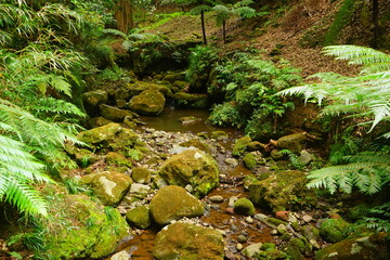 Uramiga Taki Water Fall in Hachijo-jima, Tokyo, Japan - 日本 東京 八丈島 裏見ヶ滝