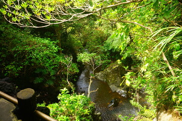 Fototapeta premium Uramiga Taki Hot Spring, Onsen in Hachijo-jima, Tokyo, Japan - 日本 東京 八丈島 裏見ヶ滝温泉