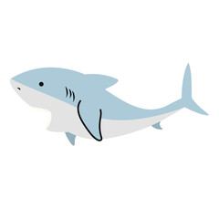 Obraz premium Cute White shark flat icon
