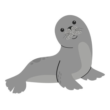 cute Seal animal cartoon vector