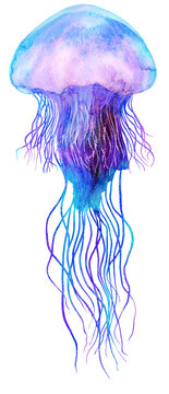 Watercolor Jellyfish In Modern Bright Neon Colors Isolated On PNG Transparent Background Underwater Vivid Illustration In Large Size Design Element In Magic Style, Purple Blue Violet Glow Pink Fluid