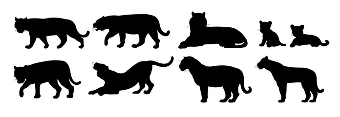 Set of male and female lions with cubs. Predator Wild animals. Silhouette figures. Isolated on white background. Vector.