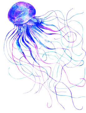 Watercolor jellyfish in modern bright neon colors isolated on PNG transparent background underwater vivid illustration in large size design element in magic style, purple blue violet glow pink fluid