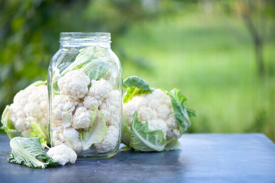 Fermentation of cabbage cauliflower concept, pickles. Cabbage inflorescences in a jar, on a natural green background, space for text