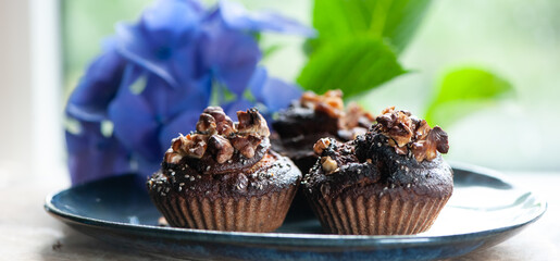 Cupcakes, baking concept. Stylish cupcakes on a plate, surrounded by blue hydrangea. Banner