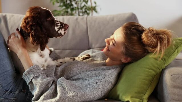 Shot of young happy smiling woman is playing with affection her lovely English springer spaniel dog, while having fun together on carpet in living room at home. Friendship, domestic animal