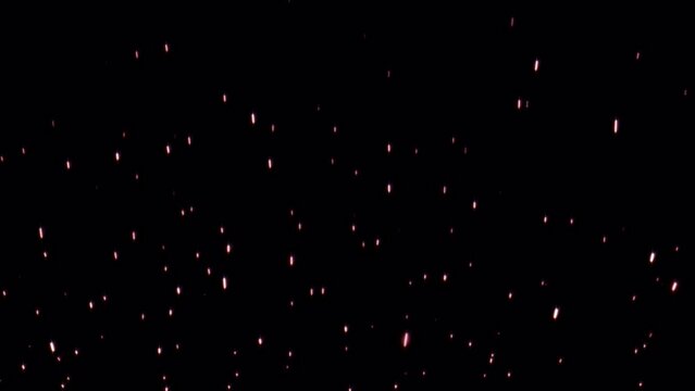 Loop flow up glow pink white star particles on black abstract background.  Isolated alpha channel using Quicktime Apply prores 444. 4K 3D seamless loop animation. Winter holiday background concept, Me