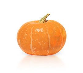 isolated orange pumpkin off white background
