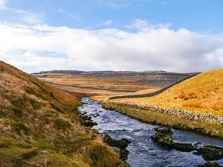 landscape with a river