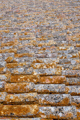 Vertical shot of clay Portuese roof tiles covered with moss