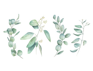 Naklejka premium Watercolor winter eucalyptus set. Hand drawn isolated illustration on white background