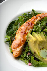 Baked red fish steak with green lettuce