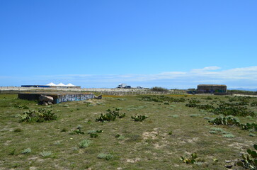 Plage de Torreilles ( Pyrénées Orientales - Occitanie - France) 