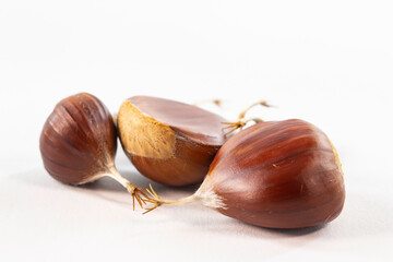 Esskastanien