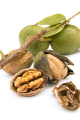 Walnut with peel and leaves in the process of ripening