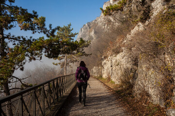 Woman walking alone on rural misty path