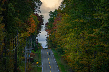 road in autumn