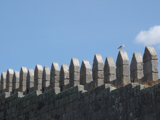 Une mouette sur les remparts - Portugal