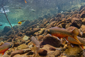 Lake Shikaribetsu, Hokkaido Natural monument Miyabei Wana's run-up scenery