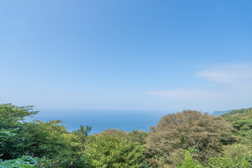 Fototapeta na wymiar 猿山岬灯台