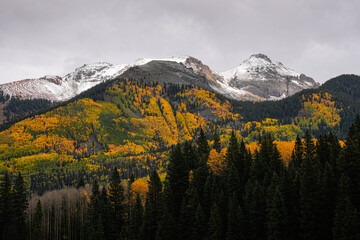 Colorado Autumn