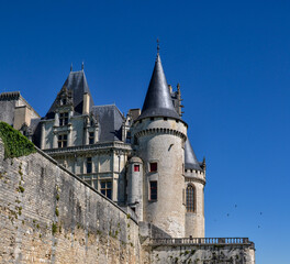 Fototapeta na wymiar Château de La Rochefoucauld