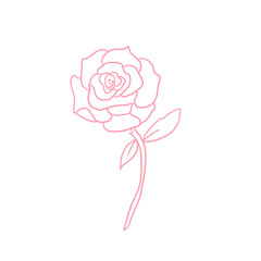 Pink Rose Outlined