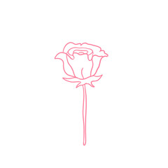 Pink Rose Outlined