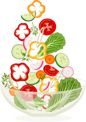 Plates of salad and falling cucumbers, tomatoes, onions, lettuce, bell peppers and carrots in a bowl. Vector isolated illustration on white background.