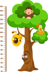 Meter wall with animal cartoon vector illustration