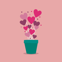 pink flowers love heart in a pot