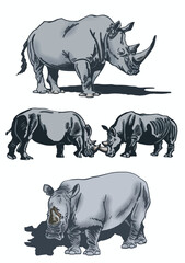 Fototapeta premium Color set of rhinoceroses on white isolated, vector illustration,graphical drawing. Stylish print elements, savanna habitant