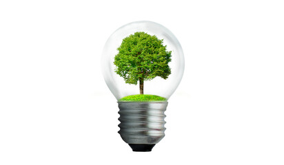 The bulb is located on the inside with leaves forest and the trees are in the light. Concepts of...