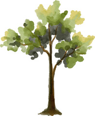 watercolor illustration of tree