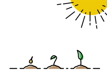 plant growth. Vector illustrations with phases plant growth. Outline