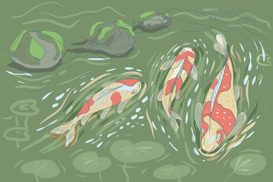 koi fish in a pond swim in the water h colorful white fish with red spots on a dark green background hand-drawn highlights on the water and water lily leaves and flowers