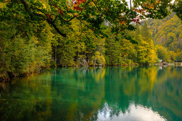 Amazing clear mountain lake in forest among fir trees in sunshine. Bright scenery with beautiful turquoise lake against the background of snow-capped mountains