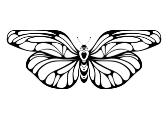 Butterfly vector illustration. Vector silhouette isolated on white background.