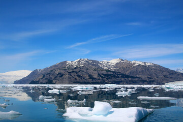 Fototapeta na wymiar Iceberg in Icy Bay, Alaska, United States 