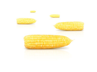 fresh sweet corn isolated on white background