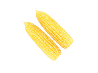 fresh sweet corn isolated on white background