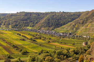 Fototapeta na wymiar Moselle River valley in Germany, view of Bremm village and vineyards