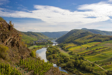 Fototapeta na wymiar Moselle River in Germany, view of Calmont village and vineyards