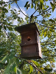 bird house on a tree